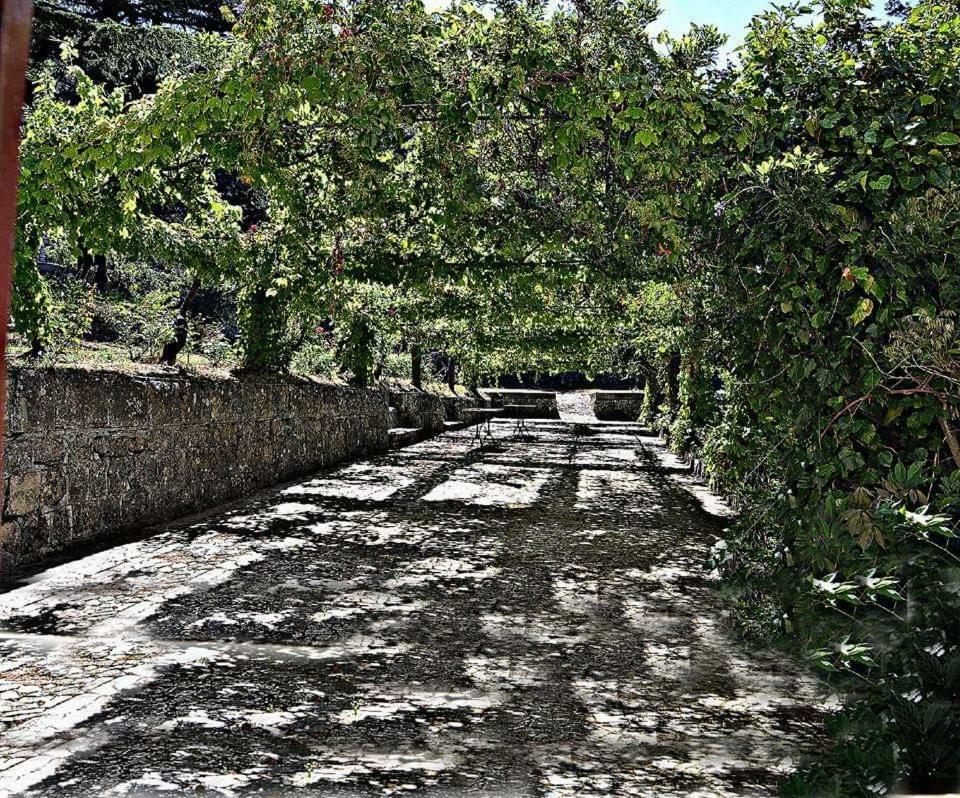 Valle Maira, Agriturismo Nel Parco Dei Nebrodi Villa Tortorici Exterior photo